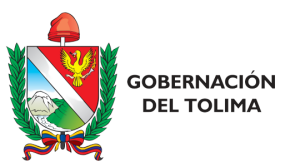 gobernaciontolima2